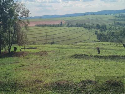 Fazenda para Venda, em , bairro Rodovia Rachid Rayes
