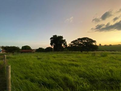 Ch�cara para Venda, em Ocau�u, bairro Centro