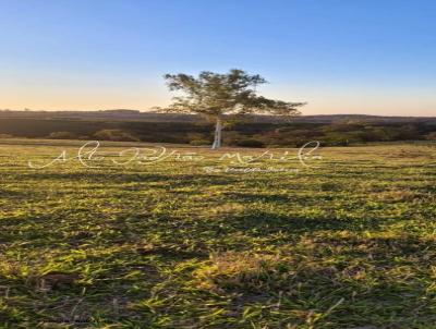 Ch�cara para Venda, em Vera Cruz, bairro Recanto Bonito
