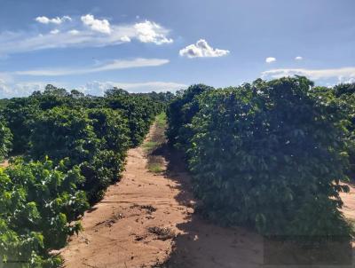 S�tio para Venda, em Lup�rcio, bairro Centro