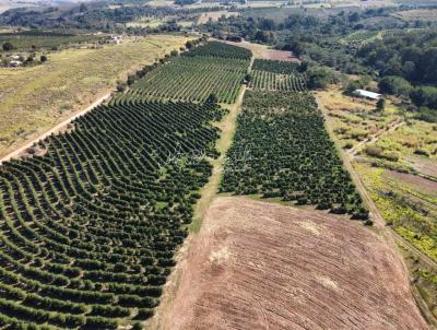 S�tio para Venda, em Gar�a, bairro Rodovia Gar�a